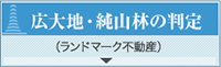 広大地・純山林の判定